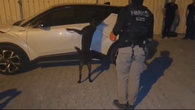 DÜZCE’DE POLİS EKİPLERİ UYUŞTURUCU TİCARETİ YAPAN ŞAHISLARA YÖNELİK GERÇEKLEŞTİRDİĞİ OPERASYONDA