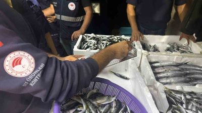 YAPILAN DENETİMDE YASAL BOYUTTA OLMAYAN YAKLAŞIK 1,5 TON BALIĞA EL