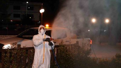 DÜZCE BELEDİYESİ KENT MERKEZİNDE UYGULANAN PEYZAJIN SÜREKLİLİĞİNİ SAĞLAMAK ÜZERE KORUMA