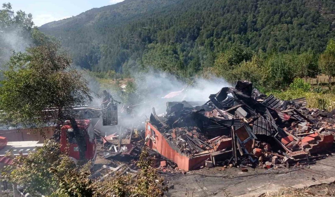 BOLU’DA ALEV ALEV YANAN