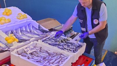 DÜZCE'DE SU ÜRÜNLERİ İŞLETMELERİNDE TOPLAMDA 78 ADET KONTROL VE DENETİM