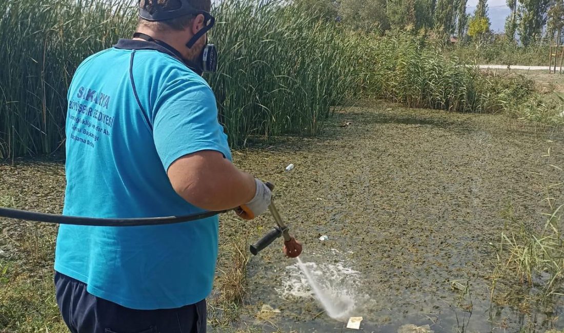 SAKARYA BÜYÜKŞEHİR BELEDİYESİ, VEKTÖRLERLE