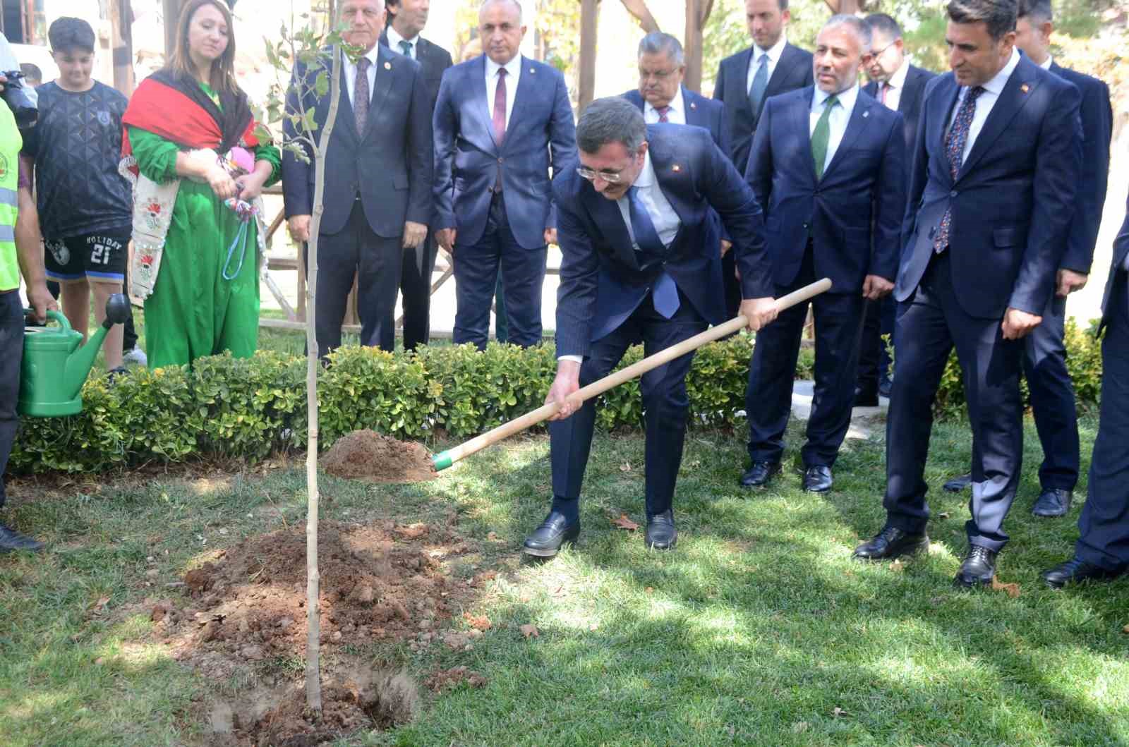 Cumhurbaşkanı Yardımcısı Yılmaz: “Bilecik’te bizim de artık bir dikili çınarımız olacak”