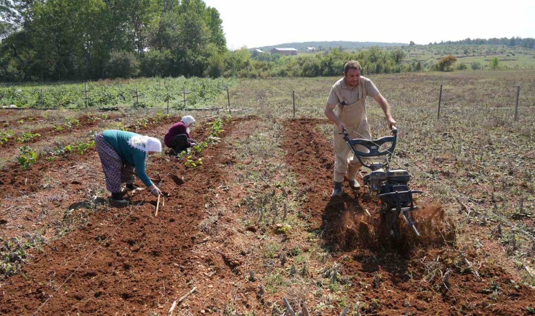 KASTAMONU’DA TARIM VE ORMAN