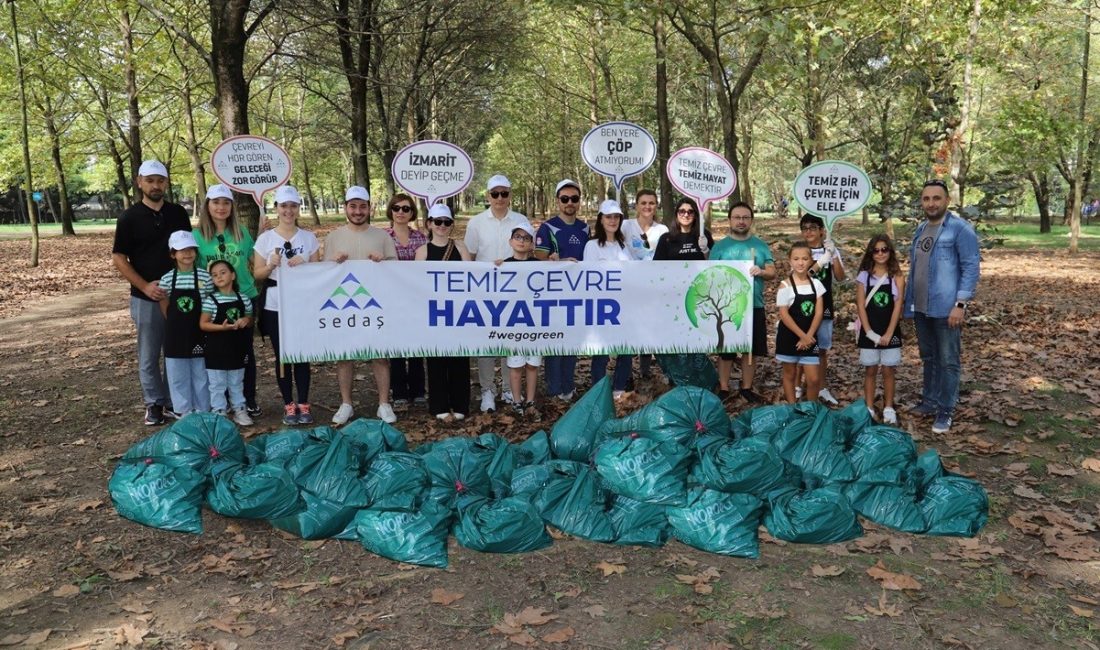 SEDAŞ EKİBİ, DÜNYA TEMİZLİK