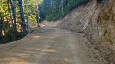 DÜZCE ORMAN İŞLETME MÜDÜRLÜĞÜ 2024 YILI YOL YATIRIM PROGRAMINDA BULUNAN