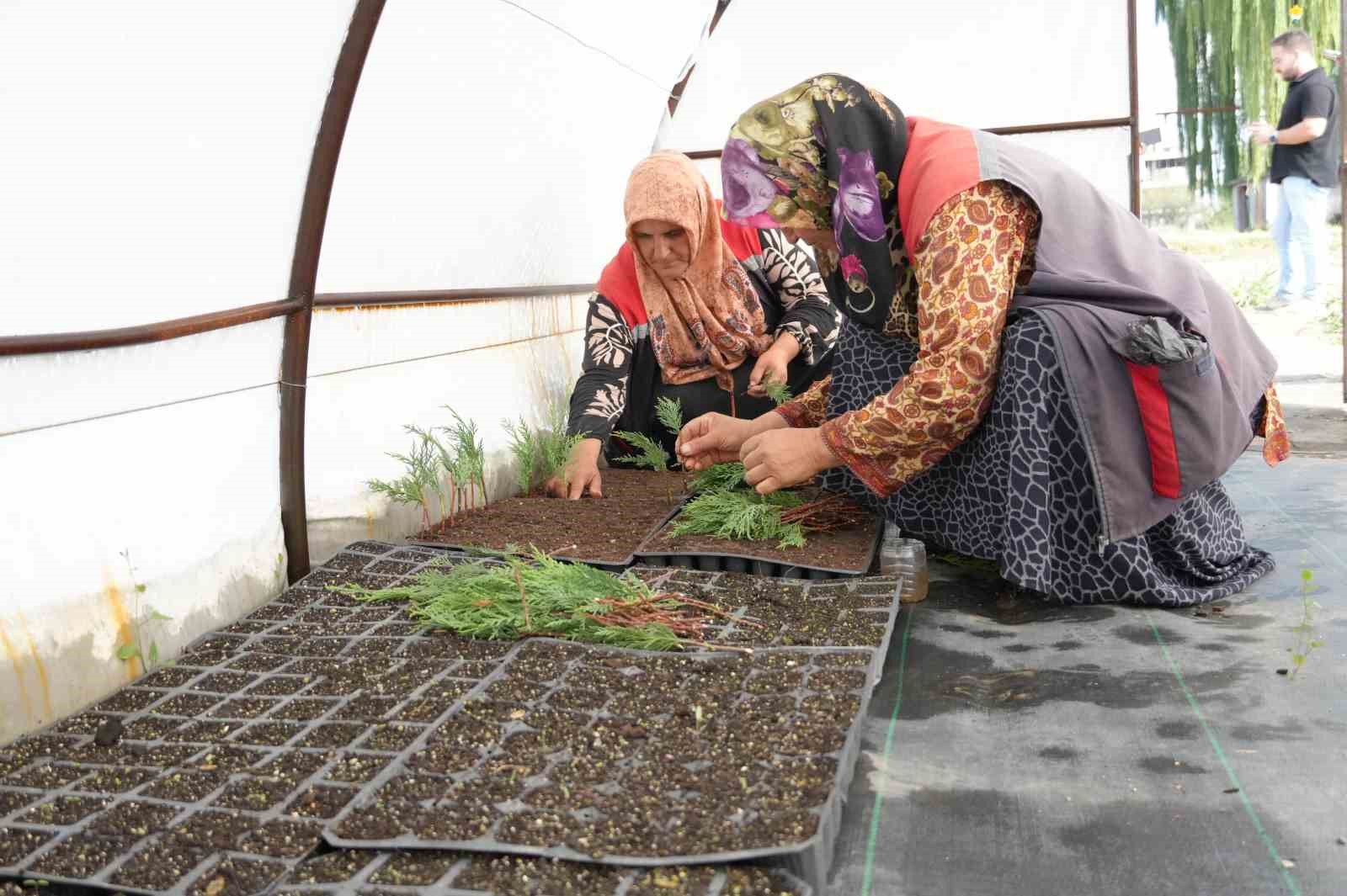 Düzce’de tarımda yenilikçi adımlar