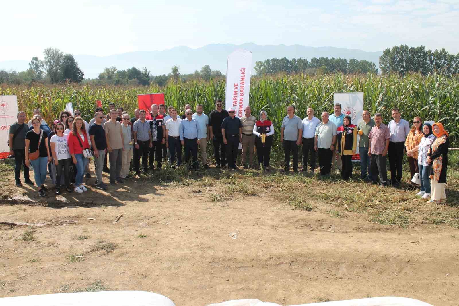 Düzce’de yerli silajlık mısır tarla günü düzenlendi