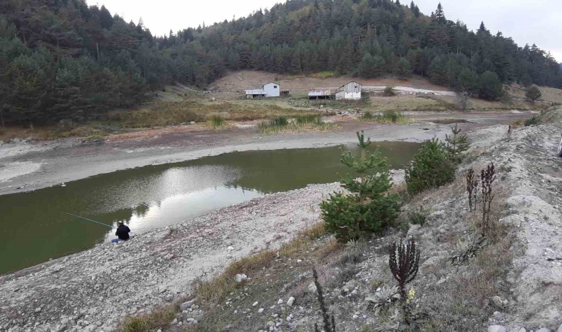 BOLU’NUN MUDURNU İLÇESİNDE KURAK