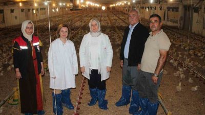 TARIM VE ORMAN BAKANLIĞI BİTKİSEL ÜRETİM GENEL MÜDÜRLÜĞÜ İYİ TARIM