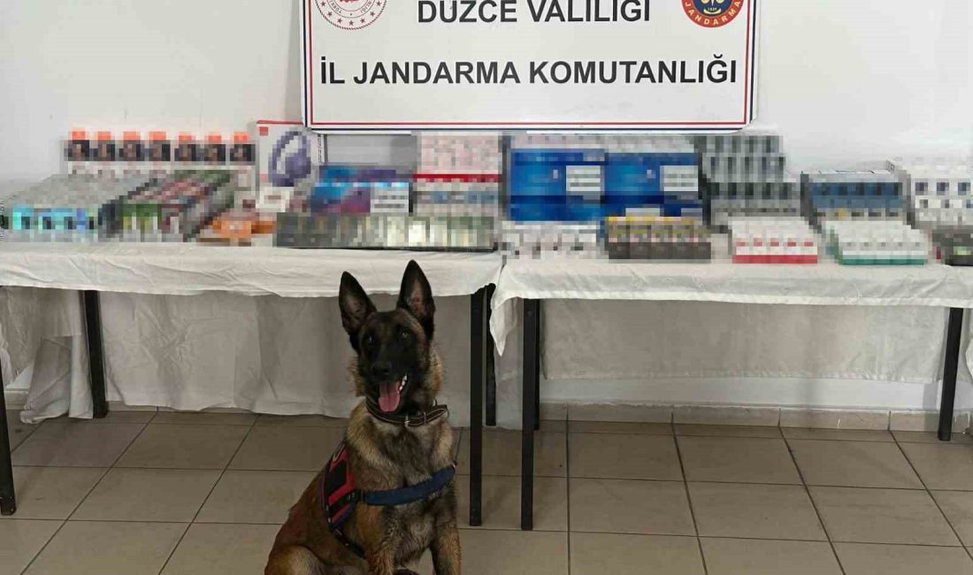 DÜZCE’DE JANDARMA EKİPLERİNCE YAPILAN