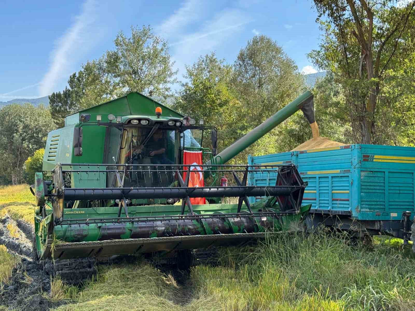 KASTAMONU'NUN HANÖNÜ İLÇESİNDE 2 BİN 200 DEKAR ALANDA ÜRETİLEN ÇELTİK