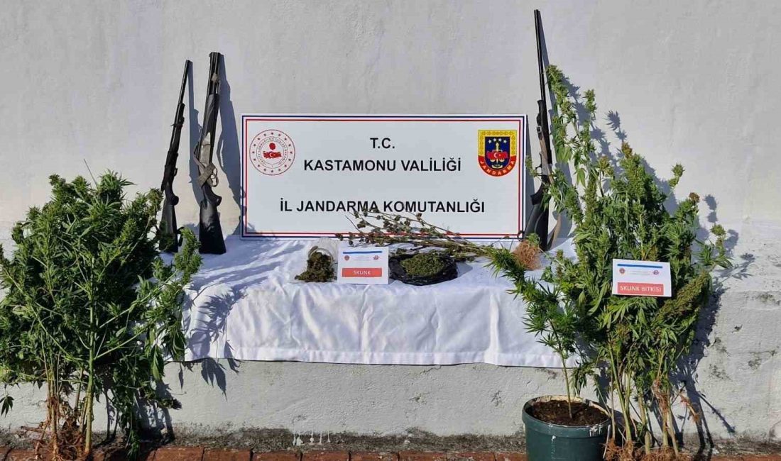 KASTAMONU İL JANDARMA KOMUTANLIĞI EKİPLERİNCE CİDE VE TAŞKÖPRÜ İLÇELERİNDE YAPILAN