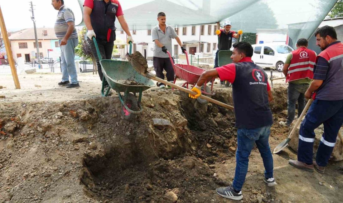 BATI KARADENİZ BÖLGESİNİN TEK