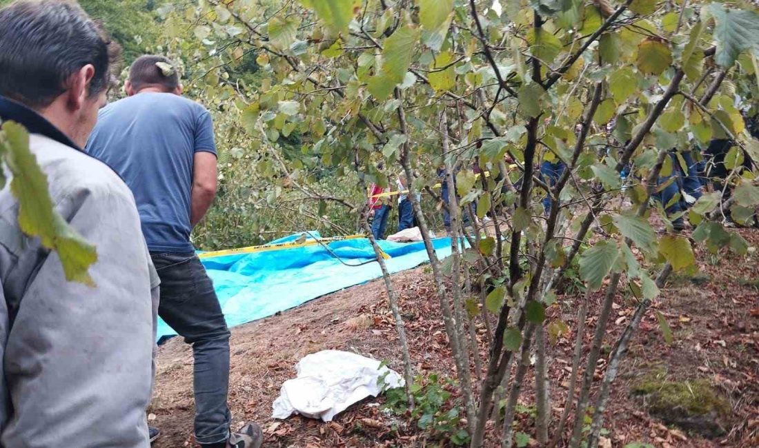 SAKARYA’NIN HENDEK İLÇESİNDE KONTROLDEN