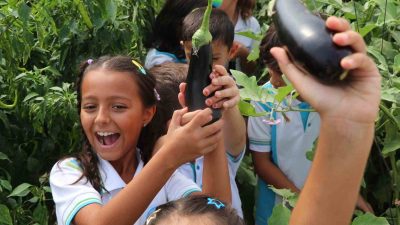 YALOVA İLKOKULUNDA BAŞLATILAN "OKULDAKİ ÇİFTLİK" ADLI PROJE ÇERÇEVESİNDE ÖĞRENCİLER SERADA