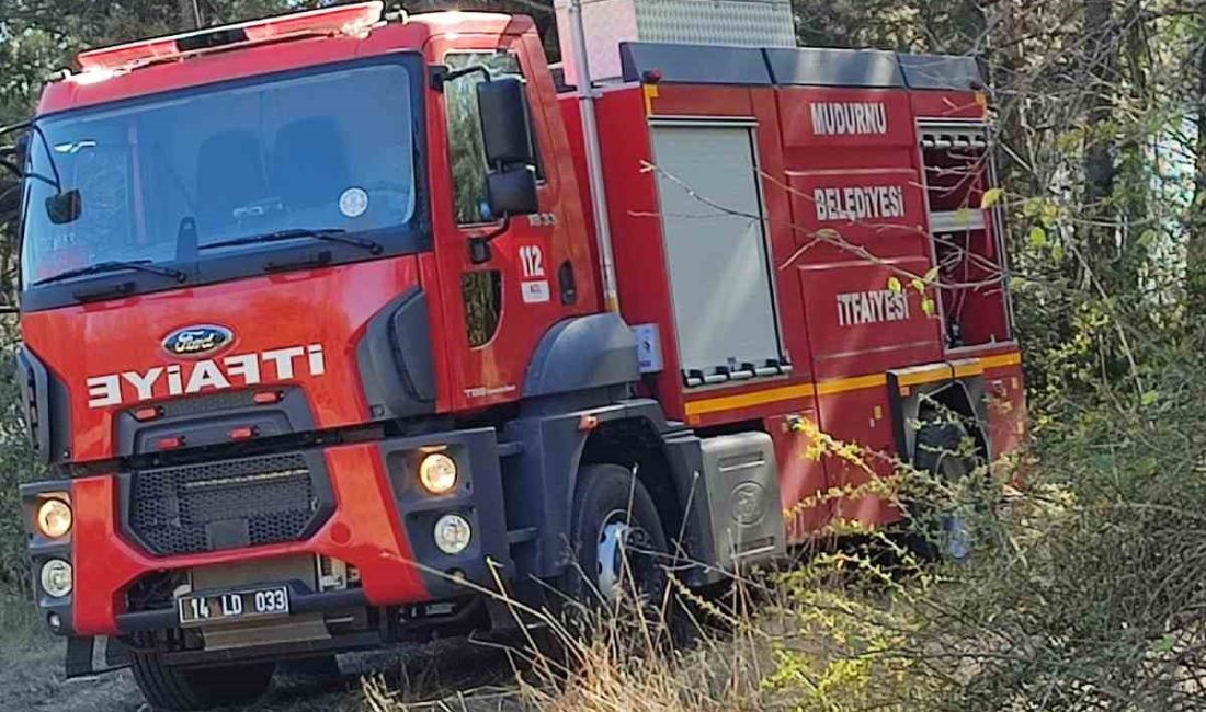 BOLU’DA KÜMESİN YAKININDA ÇIKAN