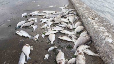 KOCAELİ BÜYÜKŞEHİR BELEDİYE BAŞKANI TAHİR BÜYÜKAKIN, KANDIRA'YA YAPILMASI PLANLANAN ÇÖP