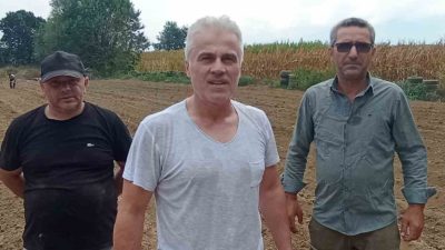 DÜZCE’DE 3 ARKADAŞ BİR ARAYA GELEREK, FINDIK VE MISIRA ALTERNATİF