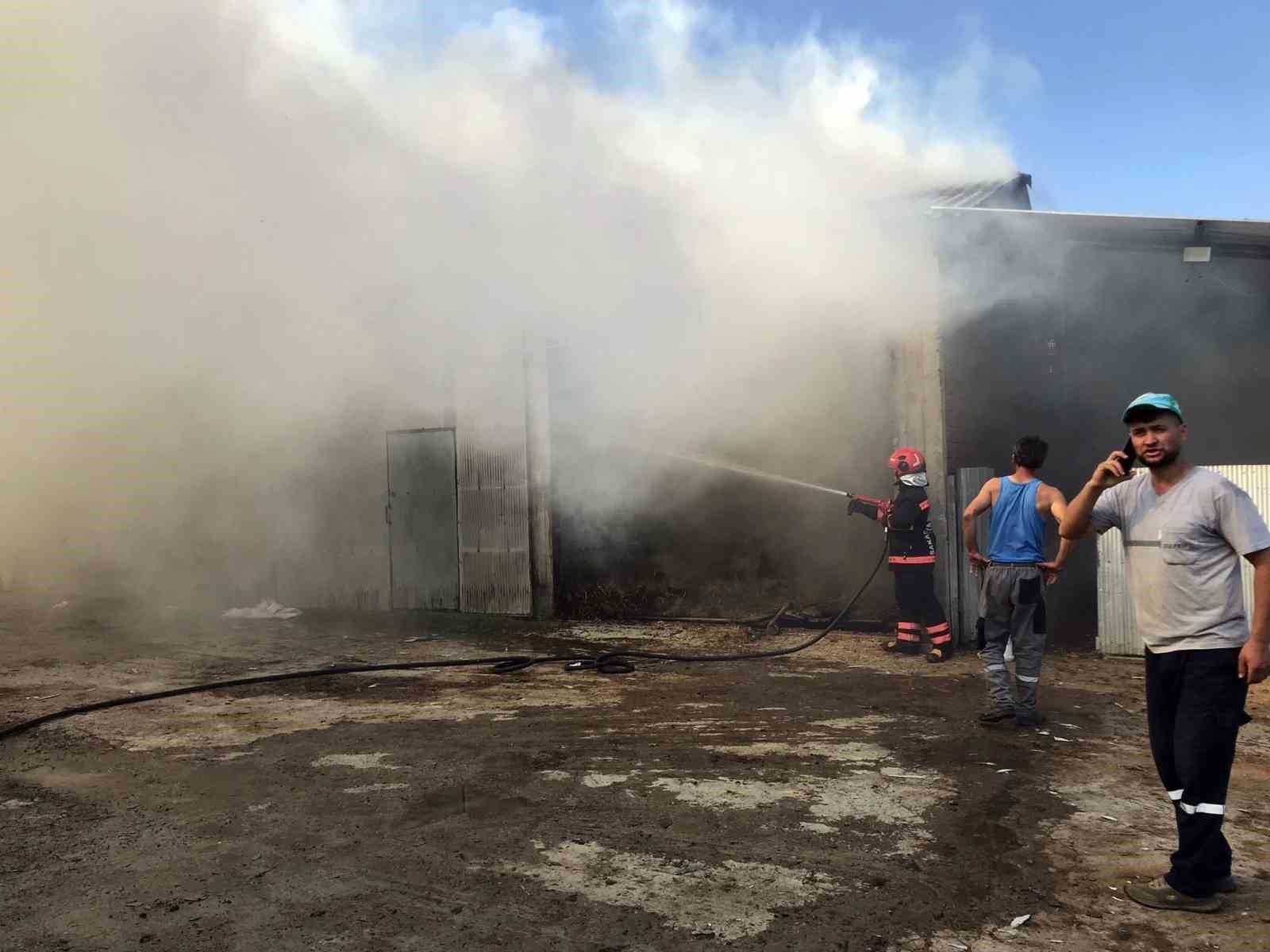 Sakarya’da 2 ahır ve 2 samanlık alevlere teslim oldu: 1 yaralı