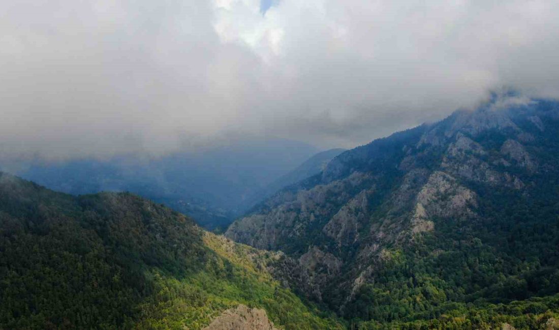 KASTAMONU'DA ORMAN VE SİSİN BULUŞMASI ORTAYA KARTPOSTALLIK GÖRÜNTÜLER ÇIKARTTI. MEST