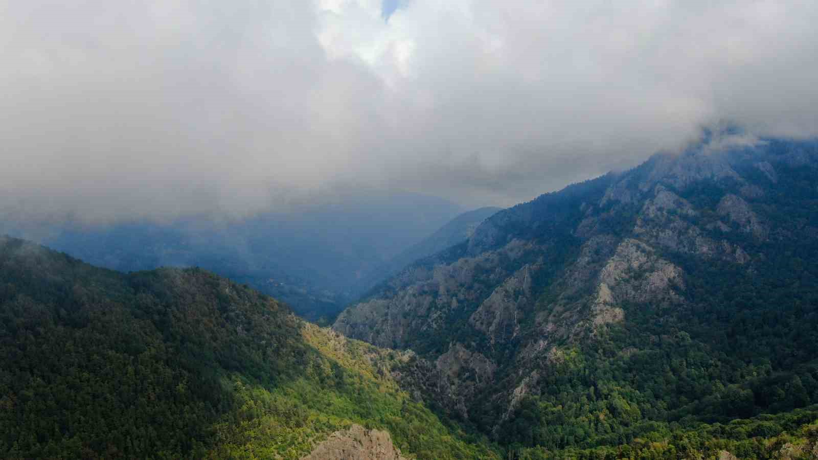 KASTAMONU'DA ORMAN VE SİSİN BULUŞMASI ORTAYA KARTPOSTALLIK GÖRÜNTÜLER ÇIKARTTI. MEST