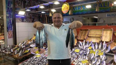 KOCAELİ'DE BALIKÇILARIN AĞLARINA TAKILAN BOL MİKTARDA PALAMUT, HEM BALIKÇILARIN HEM