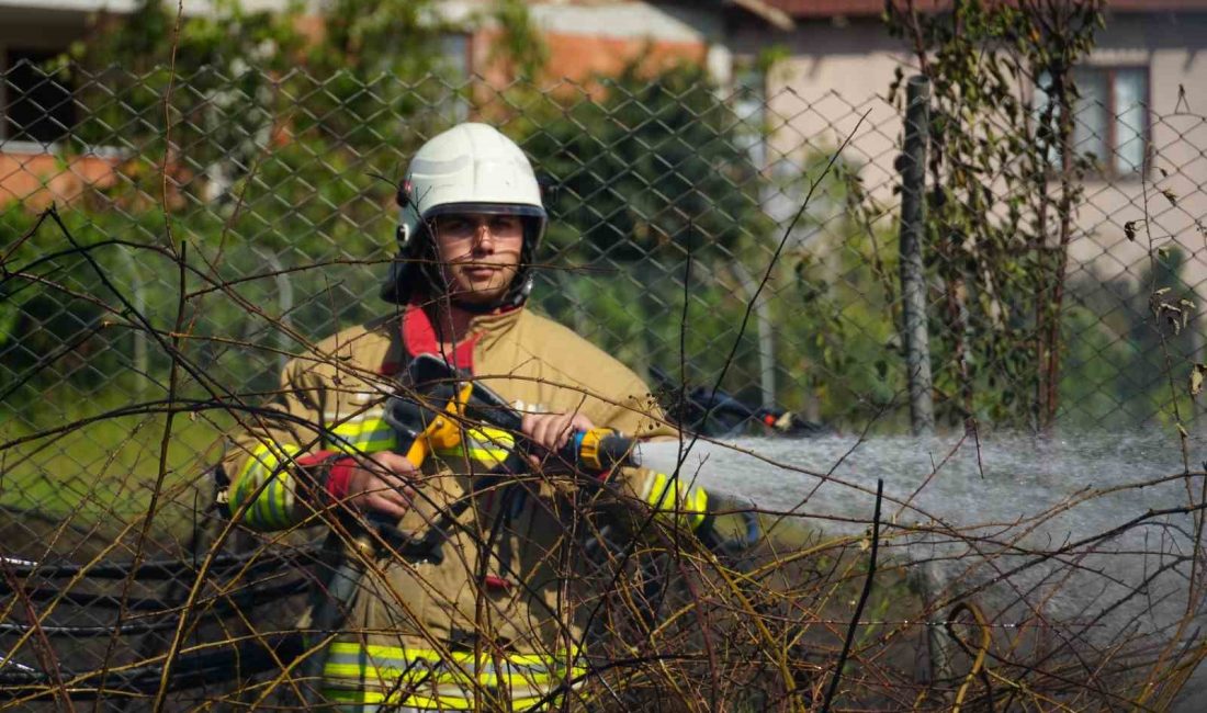 DÜZCE’NİN FINDIK TARLASINDA MEYDANA