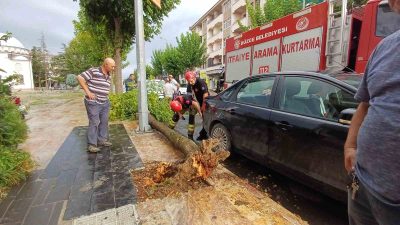 ŞEHİR MERKEZİNDE KALDIRIMDA BULUNAN AĞAÇ PARK HALİNDEKİ ARACIN ÜZERİNE DEVRİLDİ.