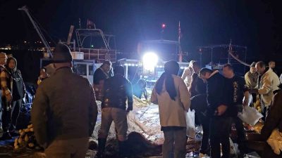 CİDE İLÇESİNDE LİMANDA TANESİ 70 TL'DEN SATILAN PALAMUTLAR VATANDAŞLARDAN YOĞUN