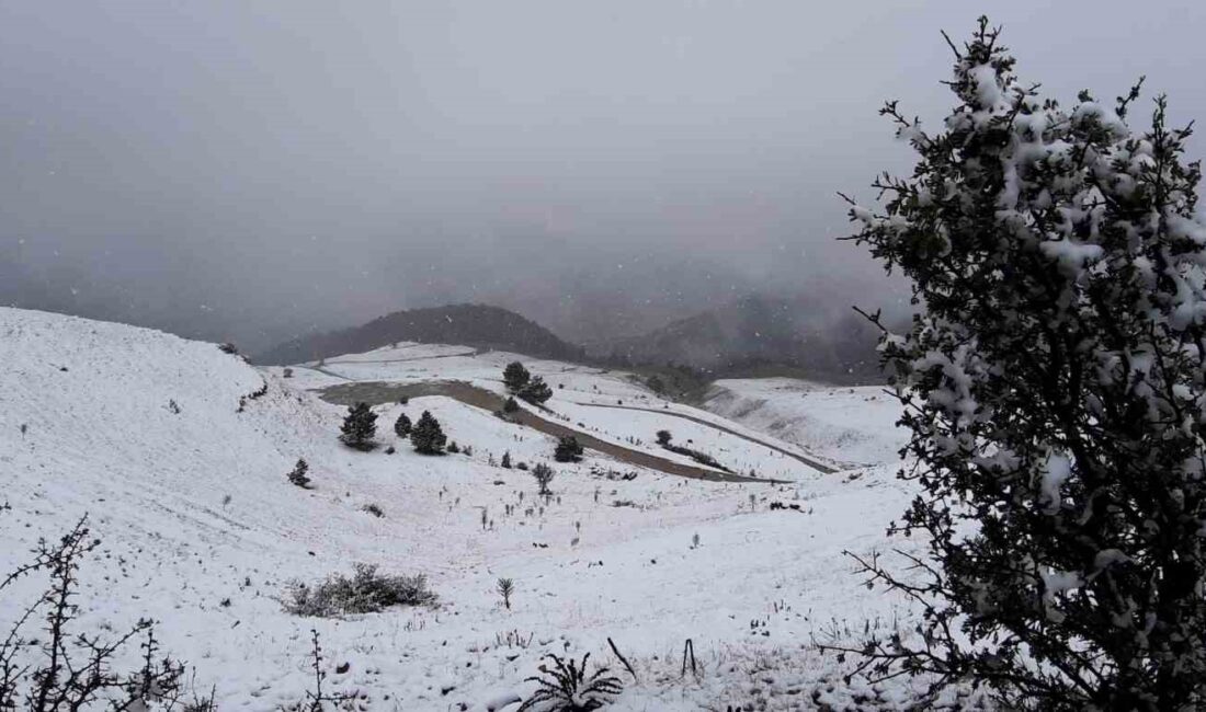 BOLU’NUN YÜKSEK KESİMLERİNDE DÜN