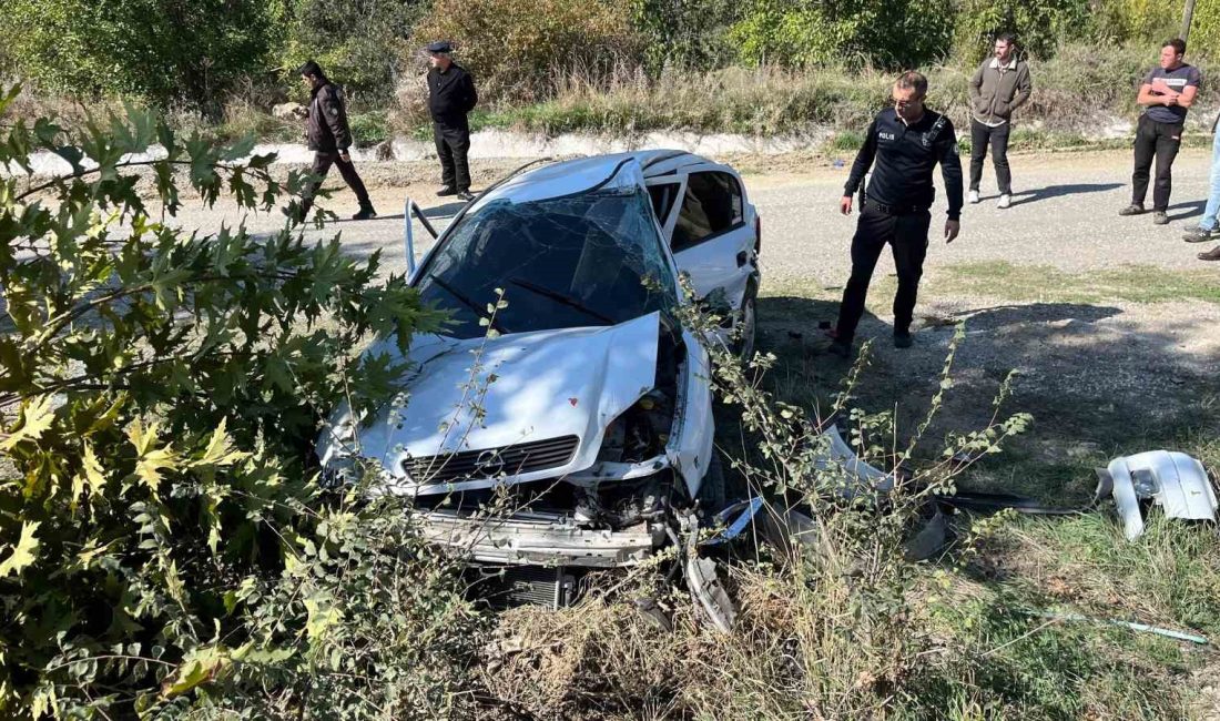 KASTAMONU'NUN TOSYA İLÇESİNDE AÇLARA