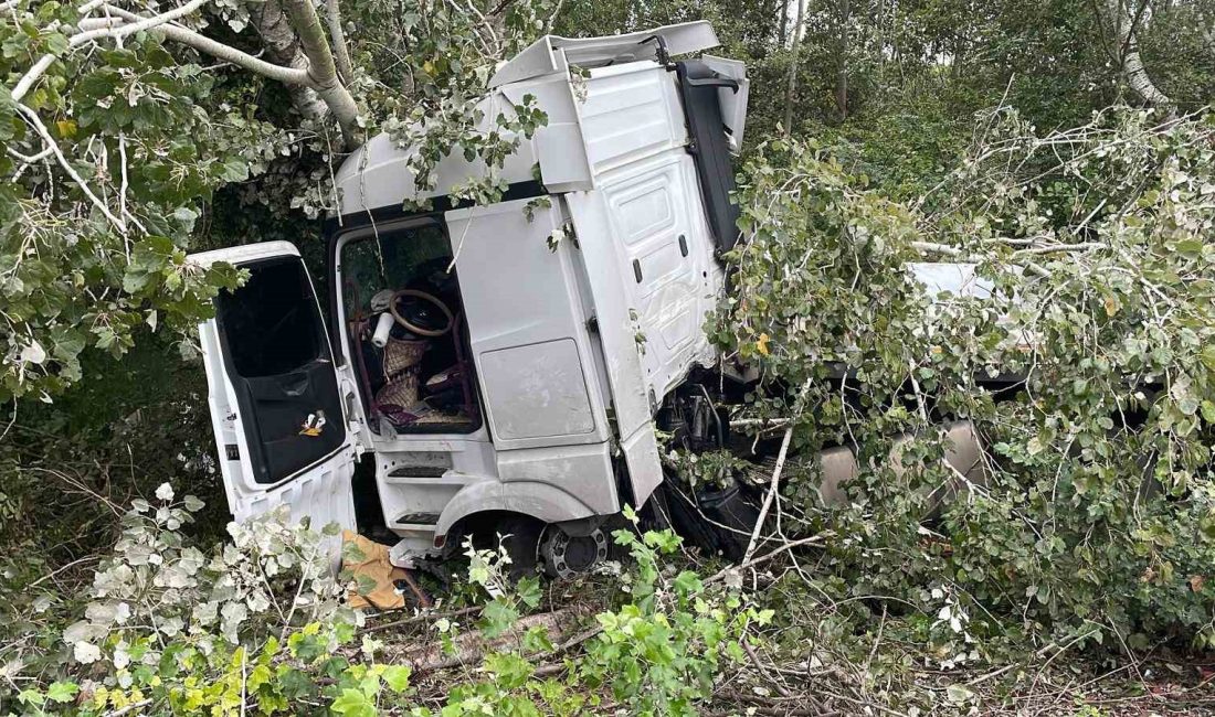 ANADOLU OTOYOLU SAKARYA GEÇİŞİNDE