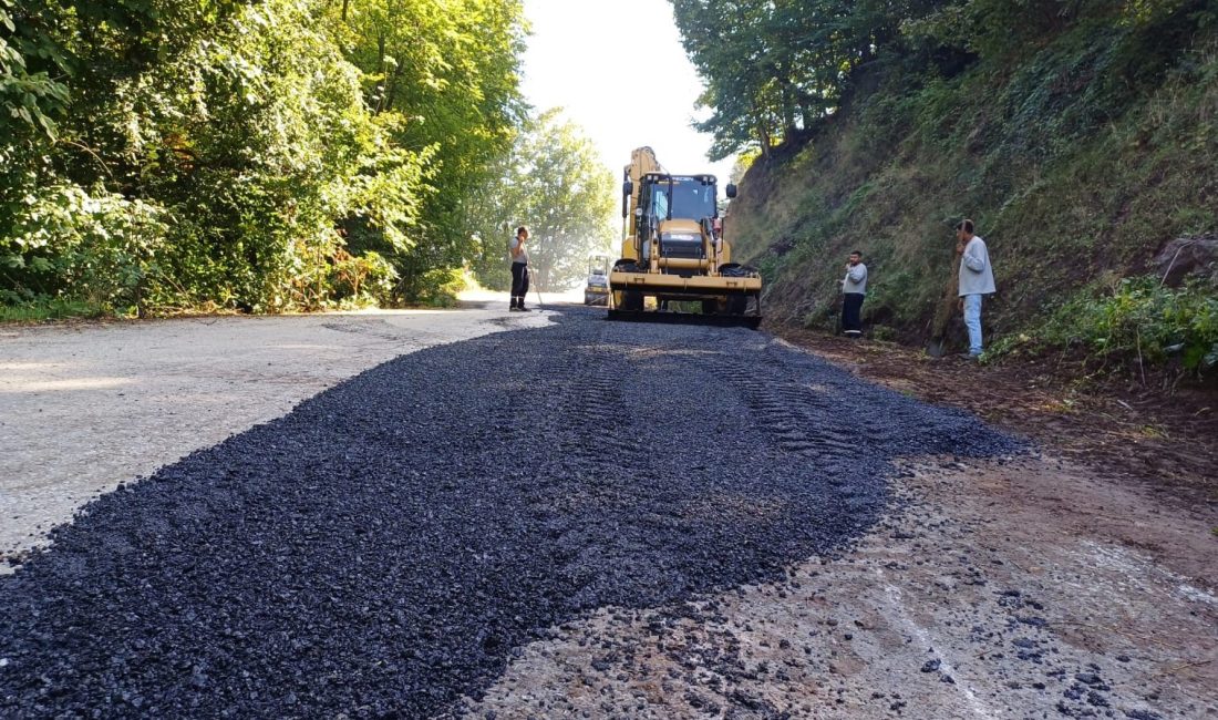 DÜZCE’DE KIŞ AYLARI ÖNCESİNDE