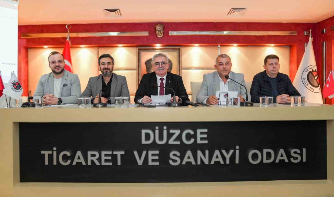 DÜZCE TİCARET VE SANAYİ