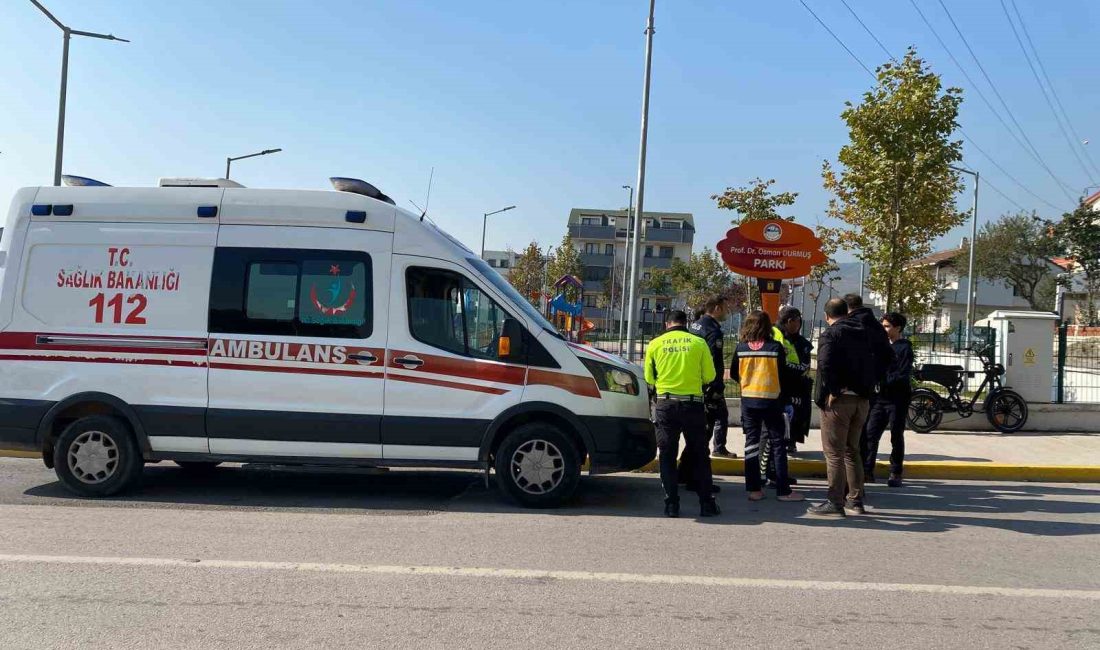 KOCAELİ'NİN KÖRFEZ İLÇESİNDE ELEKTRİKLİ