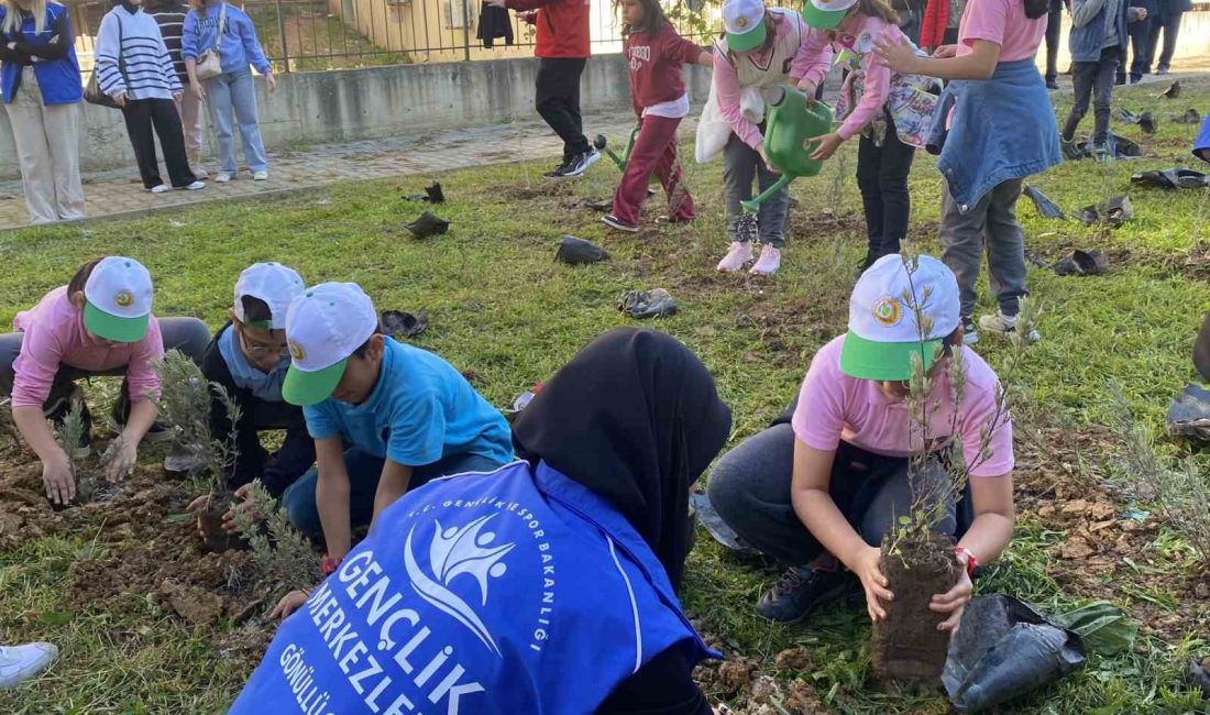 AKÇAKOCA GENÇLİK MERKEZİ BAHÇESİNDE