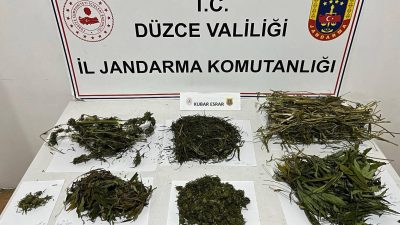DÜZCE’NİN AKÇAKOCA İLÇESİNDE JANDARMA EKİPLERİ TARAFINDAN YAPILAN ÇALIŞMADA BİR ŞAHSIN