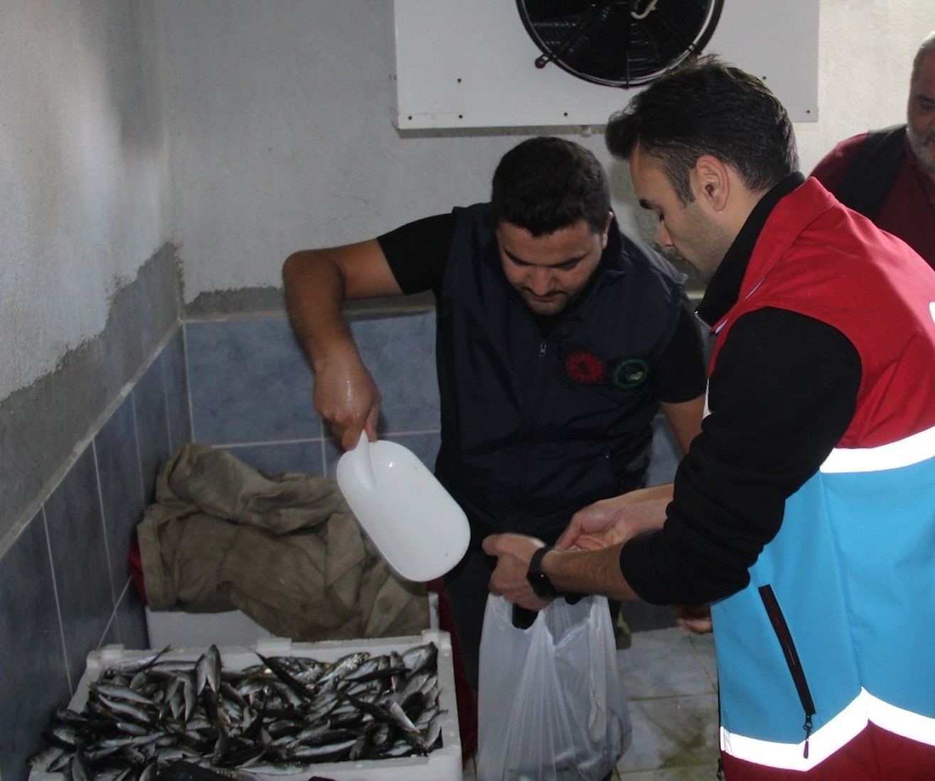 KASTAMONU'NUN İNEBOLU İLÇESİNDE YAPILAN KONTROLLERDE, AVLANABİLİR BOYDAN KÜÇÜK OLDUKLARI TESPİT