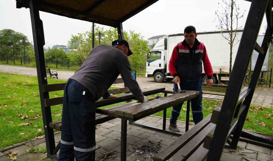 DÜZCE BELEDİYESİ, KENTİN EN