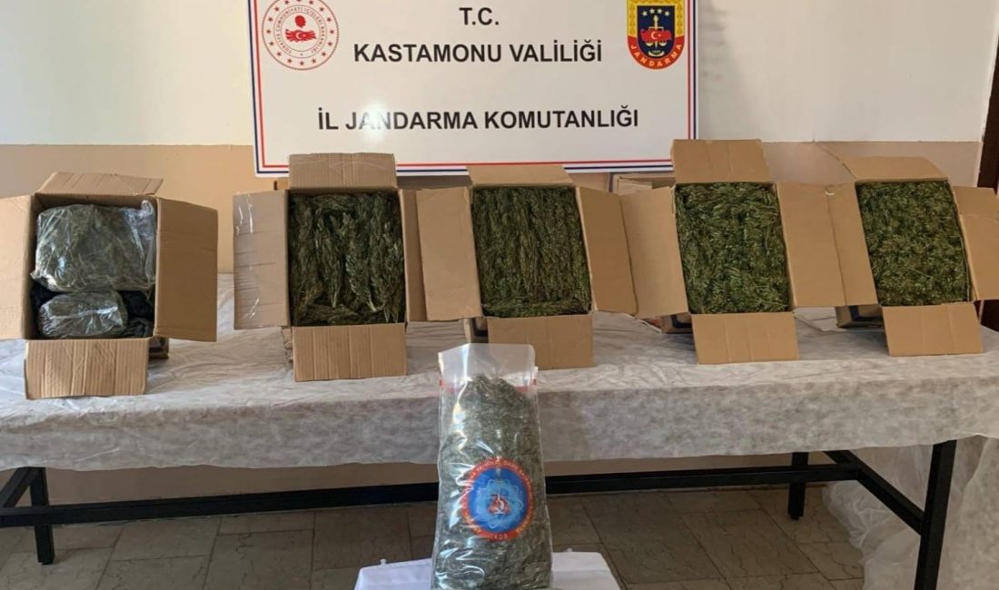 KASTAMONU’NUN CİDE İLÇESİNDE JANDARMA EKİPLERİ TARAFINDAN DÜZENLENEN OPERASYONDA BİR MİKTAR