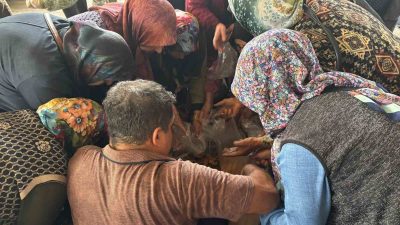 BOLU’DA PAZARDA 200 LİRAYA SATILAN KANLICA MANTARI 100 LİRADAN SATIŞA