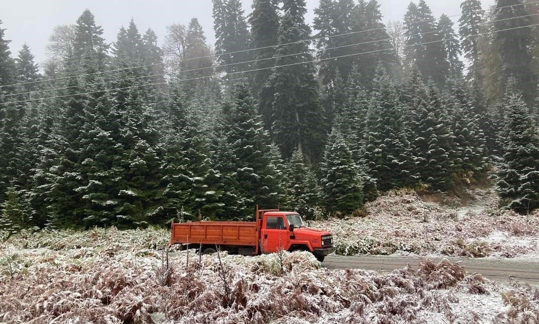 SAKARYA'NIN YÜKSEK KESİMLERİNDE YAĞMUR