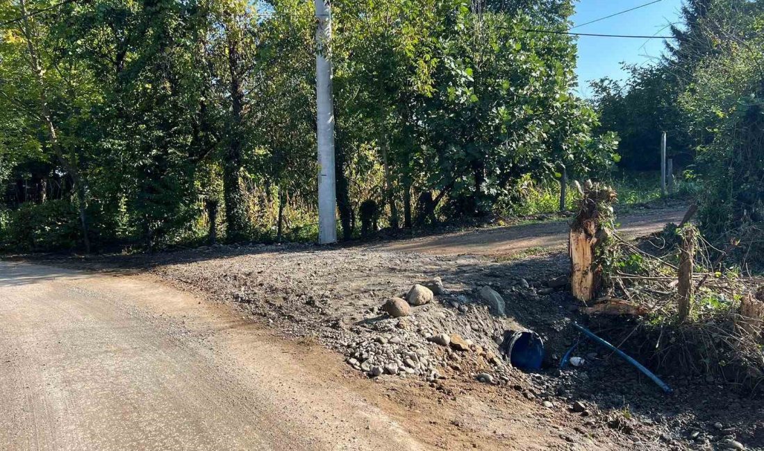 KÖYDES PROJESİ ÇERÇEVESİNDE DÜZCE’DE