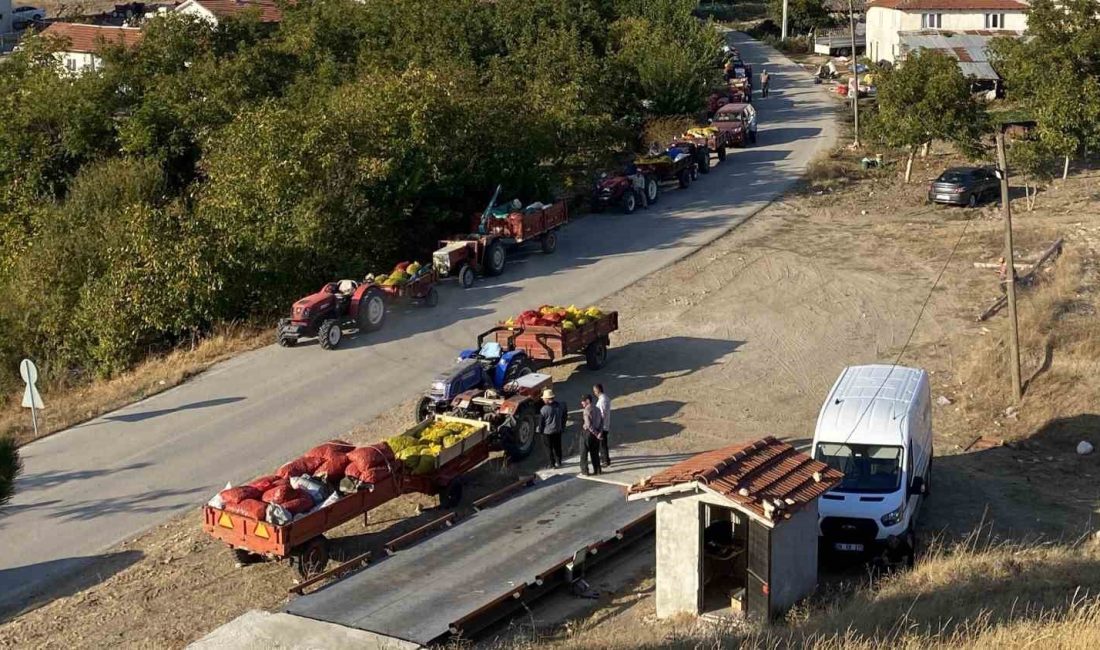 BİLECİK'İN GÖLPAZARI İLÇESİNİN BÜYÜKBELEN