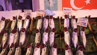 SAKARYA’DA BALIKLAR TEZGAHLARI SÜSLEMEYE DEVAM EDİYOR. BALIKÇILARIN TEZGAHLARINDA EN FAZLA