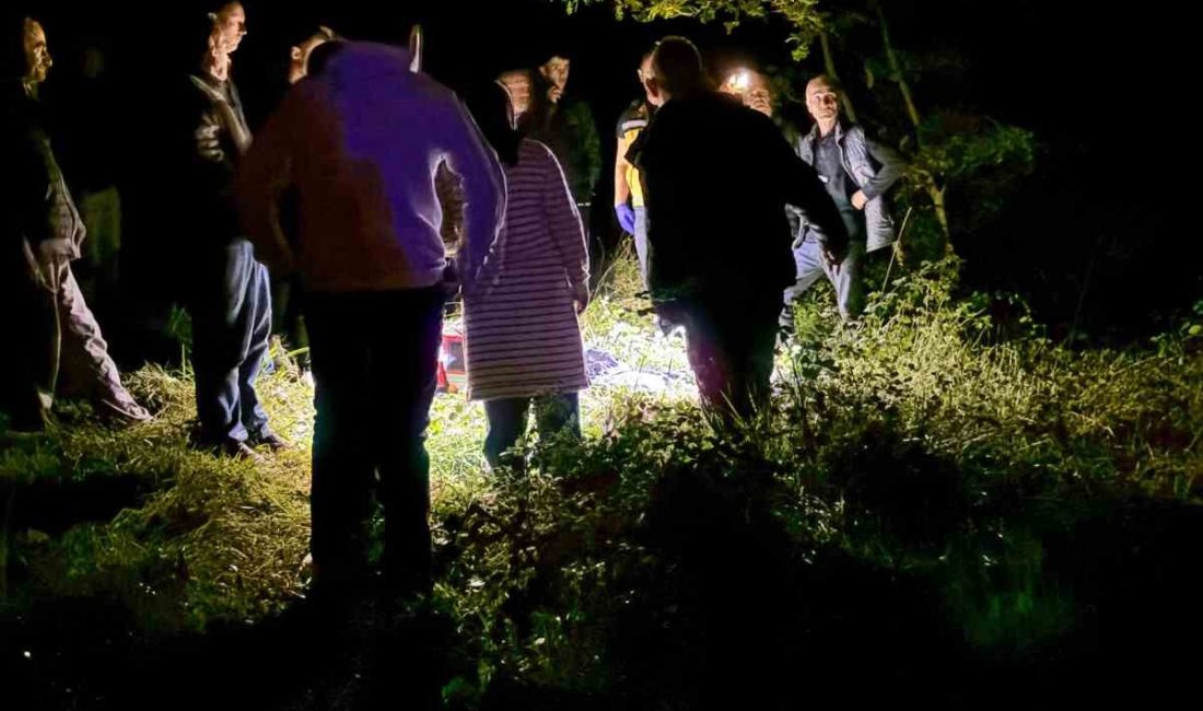 SAKARYA’NIN KARASU İLÇESİNDE MANTAR