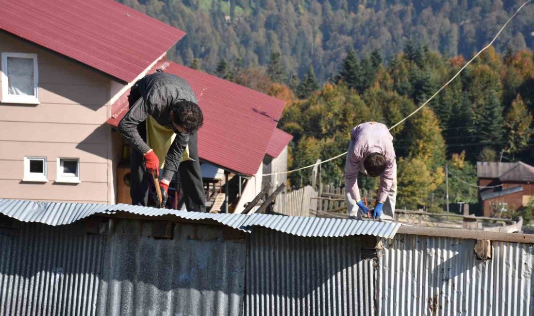 DİKMEN YAYLASI'NDAKİ KAÇAK YAPILAR,