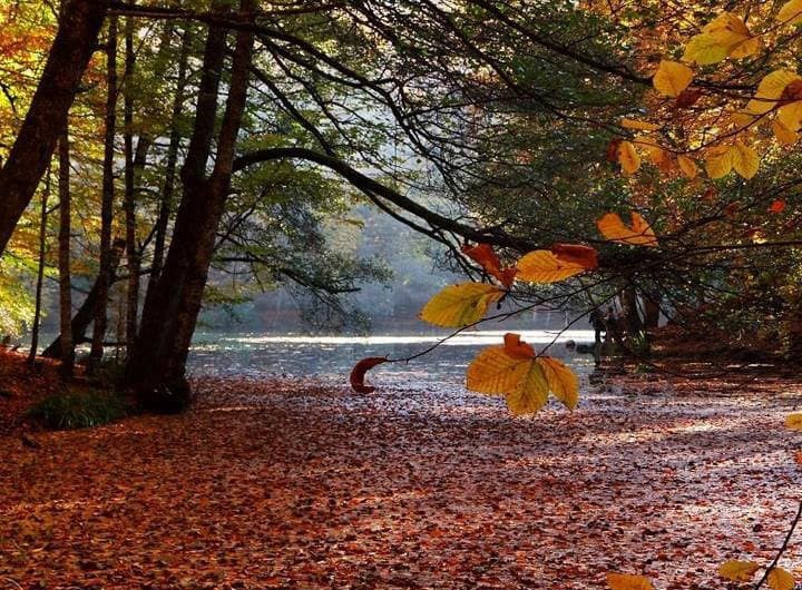 BOLU’DA, EŞSİZ DOĞASIYLA TATİLCİLERİN