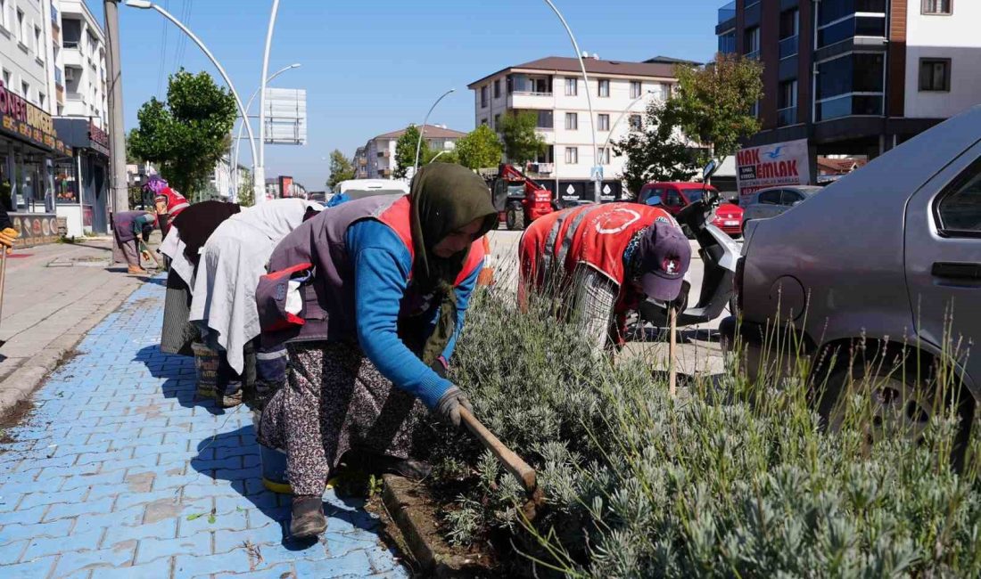 DÜZCE BELEDİYESİ PARK VE